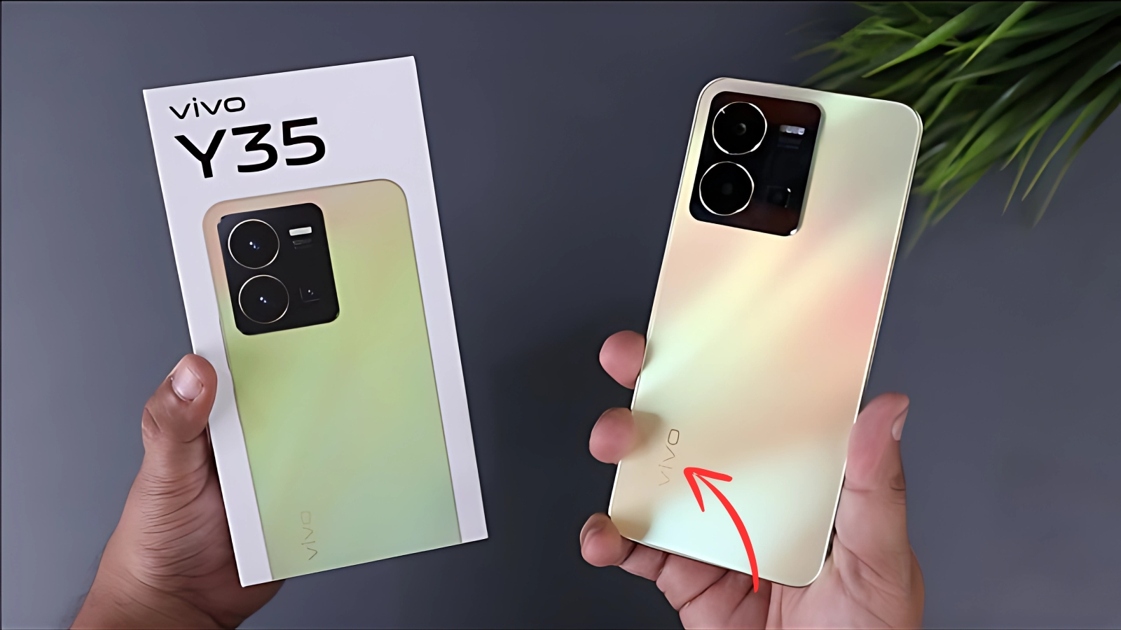 Vivo Y35 5G
